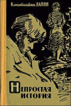 Читайте книги онлайн на Bookidrom.ru! Бесплатные книги в одном клике Константин Лапин - Непростая история