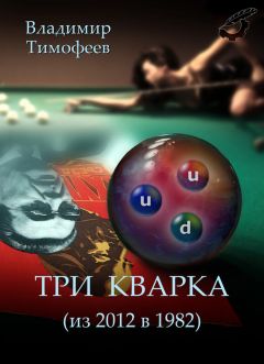 Читайте книги онлайн на Bookidrom.ru! Бесплатные книги в одном клике Владимир Тимофеев - Три кварка (из 2012 в 1982)