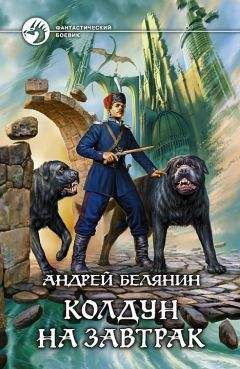Читайте книги онлайн на Bookidrom.ru! Бесплатные книги в одном клике Андрей Белянин - Колдун на завтрак