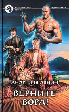 Читайте книги онлайн на Bookidrom.ru! Бесплатные книги в одном клике Андрей Белянин - Верните вора!