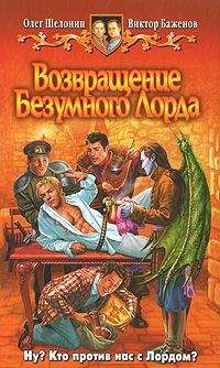 Читайте книги онлайн на Bookidrom.ru! Бесплатные книги в одном клике Олег Шелонин - Возвращение Безумного Лорда