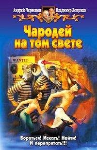 Читайте книги онлайн на Bookidrom.ru! Бесплатные книги в одном клике Владимир Лещенко - Чародей на том свете