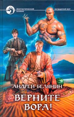 Читайте книги онлайн на Bookidrom.ru! Бесплатные книги в одном клике Андрей Белянин - Верните вора!