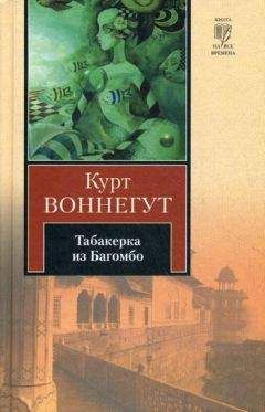 Читайте книги онлайн на Bookidrom.ru! Бесплатные книги в одном клике Курт Воннегут-мл - Табакерка из Багомбо