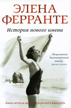 Читайте книги онлайн на Bookidrom.ru! Бесплатные книги в одном клике Элена Ферранте - История нового имени