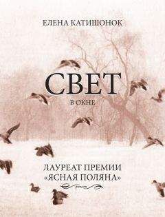 Читайте книги онлайн на Bookidrom.ru! Бесплатные книги в одном клике Елена Катишонок - Свет в окне