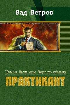 Читайте книги онлайн на Bookidrom.ru! Бесплатные книги в одном клике Вад Ветров - Практикант
