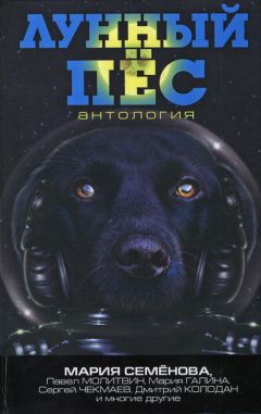 Читайте книги онлайн на Bookidrom.ru! Бесплатные книги в одном клике Дмитрий Колодан - Скрепки