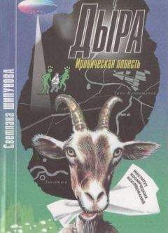 Читайте книги онлайн на Bookidrom.ru! Бесплатные книги в одном клике Светлана Шипунова - Дыра