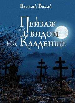 Читайте книги онлайн на Bookidrom.ru! Бесплатные книги в одном клике Василий Вялый - Пейзаж с видом на кладбище