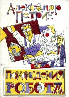 Читайте книги онлайн на Bookidrom.ru! Бесплатные книги в одном клике Александр Петрин - Похождения робота