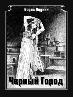 Читайте книги онлайн на Bookidrom.ru! Бесплатные книги в одном клике Борис Акунин - Чёрный город