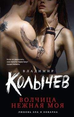 Читайте книги онлайн на Bookidrom.ru! Бесплатные книги в одном клике Владимир Колычев - Волчица нежная моя