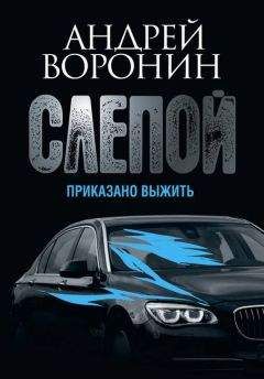 Читайте книги онлайн на Bookidrom.ru! Бесплатные книги в одном клике Андрей Воронин - Слепой. Приказано выжить