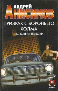Читайте книги онлайн на Bookidrom.ru! Бесплатные книги в одном клике Андрей Анисимов - Исповедь шлюхи