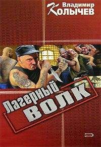 Читайте книги онлайн на Bookidrom.ru! Бесплатные книги в одном клике Владимир Колычев - Лагерный волк
