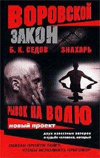 Читайте книги онлайн на Bookidrom.ru! Бесплатные книги в одном клике Б. Седов - Рывок на волю