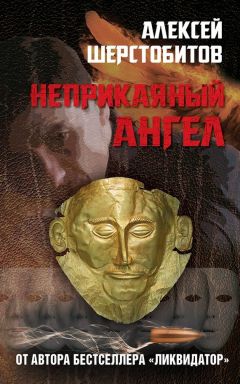 Читайте книги онлайн на Bookidrom.ru! Бесплатные книги в одном клике Алексей Шерстобитов - Неприкаяный ангел