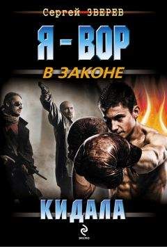 Читайте книги онлайн на Bookidrom.ru! Бесплатные книги в одном клике Сергей Зверев - Кидала