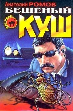 Читайте книги онлайн на Bookidrom.ru! Бесплатные книги в одном клике Анатолий Ромов - Бешеный куш