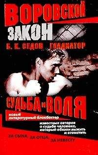 Читайте книги онлайн на Bookidrom.ru! Бесплатные книги в одном клике Б. Седов - Судьба и воля