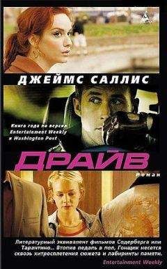 Читайте книги онлайн на Bookidrom.ru! Бесплатные книги в одном клике Джеймс Саллис - Драйв