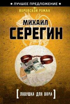 Читайте книги онлайн на Bookidrom.ru! Бесплатные книги в одном клике Михаил Серегин - Ловушка для вора