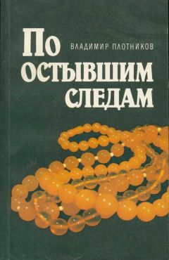 Читайте книги онлайн на Bookidrom.ru! Бесплатные книги в одном клике Владимир Плотников - По остывшим следам [Записки следователя Плетнева]