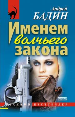 Читайте книги онлайн на Bookidrom.ru! Бесплатные книги в одном клике Андрей Бадин - Именем волчьего закона