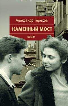 Читайте книги онлайн на Bookidrom.ru! Бесплатные книги в одном клике Александр Терехов - Каменный мост