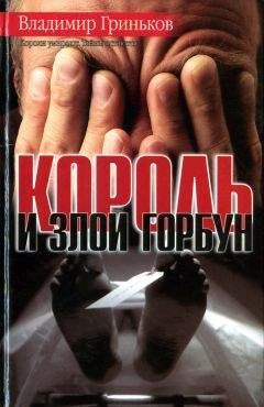 Читайте книги онлайн на Bookidrom.ru! Бесплатные книги в одном клике Владимир Гриньков - Король и Злой Горбун