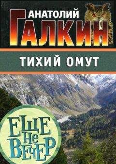 Читайте книги онлайн на Bookidrom.ru! Бесплатные книги в одном клике Анатолий Галкин - Тихий омут