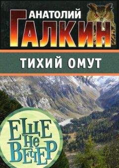 Читайте книги онлайн на Bookidrom.ru! Бесплатные книги в одном клике Анатолий Галкин - Тихий омут