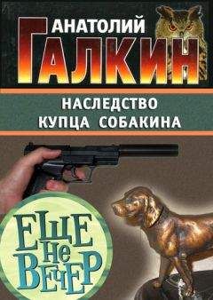 Читайте книги онлайн на Bookidrom.ru! Бесплатные книги в одном клике Анатолий Галкин - Наследство купца Собакина