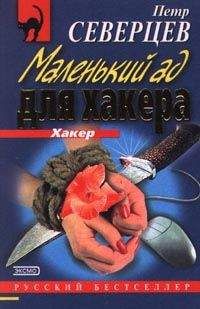 Читайте книги онлайн на Bookidrom.ru! Бесплатные книги в одном клике Петр Северцев - Маленький ад для хакера