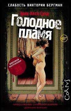 Читайте книги онлайн на Bookidrom.ru! Бесплатные книги в одном клике Эрик Сунд - Голодное пламя