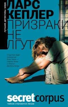 Читайте книги онлайн на Bookidrom.ru! Бесплатные книги в одном клике Ларс Кеплер - Призраки не лгут