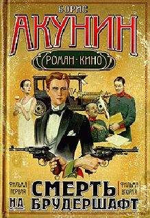 Читайте книги онлайн на Bookidrom.ru! Бесплатные книги в одном клике Борис Акунин - Смерть на брудершафт