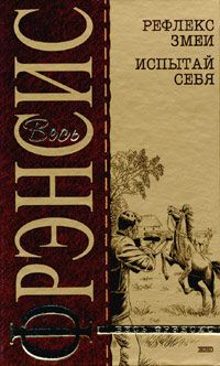 Читайте книги онлайн на Bookidrom.ru! Бесплатные книги в одном клике Дик Фрэнсис - Испытай себя