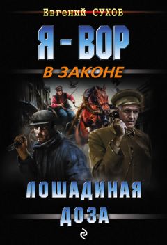 Читайте книги онлайн на Bookidrom.ru! Бесплатные книги в одном клике Евгений Сухов - Лошадиная доза