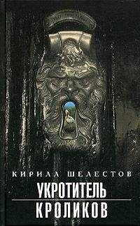 Читайте книги онлайн на Bookidrom.ru! Бесплатные книги в одном клике Кирилл Шелестов - Уротитель кроликов