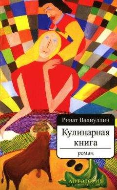 Читайте книги онлайн на Bookidrom.ru! Бесплатные книги в одном клике Ринат Валиуллин - Кулинарная книга