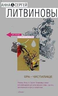 Читайте книги онлайн на Bookidrom.ru! Бесплатные книги в одном клике Анна и Сергей Литвиновы - SPA-чистилище