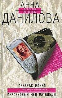 Читайте книги онлайн на Bookidrom.ru! Бесплатные книги в одном клике Анна Данилова - Персиковый мед Матильды