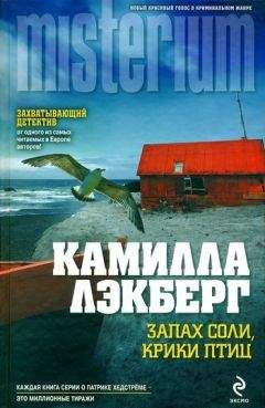 Читайте книги онлайн на Bookidrom.ru! Бесплатные книги в одном клике Камилла Лэкберг - Запах соли, крики птиц