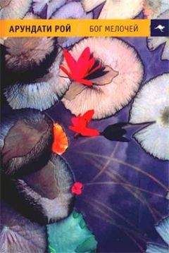 Читайте книги онлайн на Bookidrom.ru! Бесплатные книги в одном клике Арундати Рой - Бог Мелочей