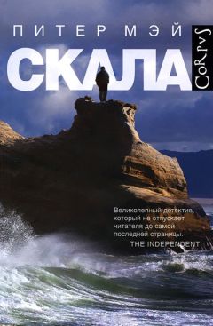 Читайте книги онлайн на Bookidrom.ru! Бесплатные книги в одном клике Питер Мэй - Скала