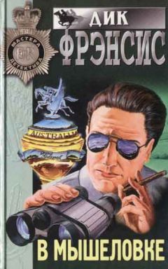 Читайте книги онлайн на Bookidrom.ru! Бесплатные книги в одном клике Дик Фрэнсис - В мышеловке