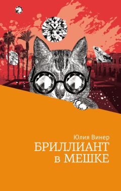 Читайте книги онлайн на Bookidrom.ru! Бесплатные книги в одном клике Юлия Винер - Бриллиант в мешке