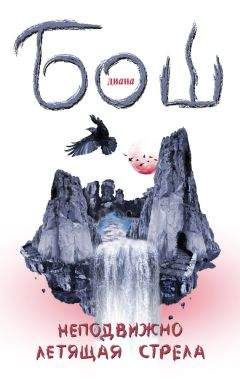 Читайте книги онлайн на Bookidrom.ru! Бесплатные книги в одном клике Диана Бош - Неподвижно летящая стрела
